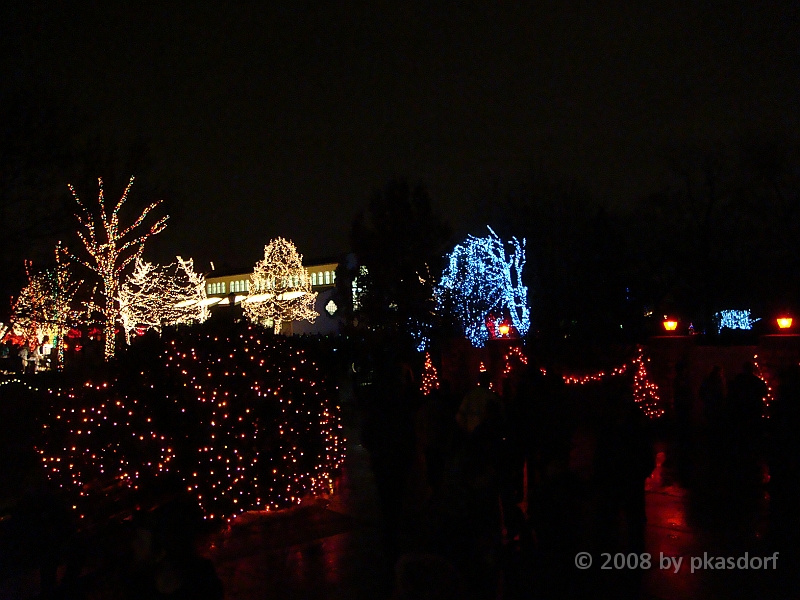 108 Toledo Zoo Light Show [2008 Dec 27].JPG - Scenes from the Toledo Zoo Light Show.